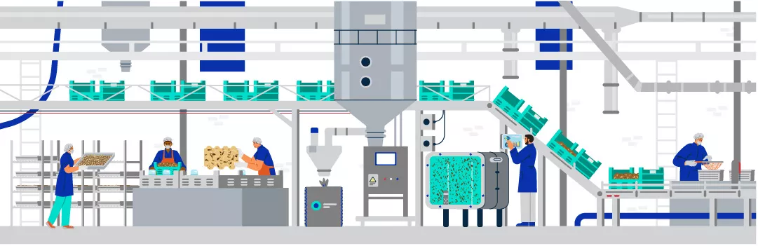 BSF-Farming-Illustration