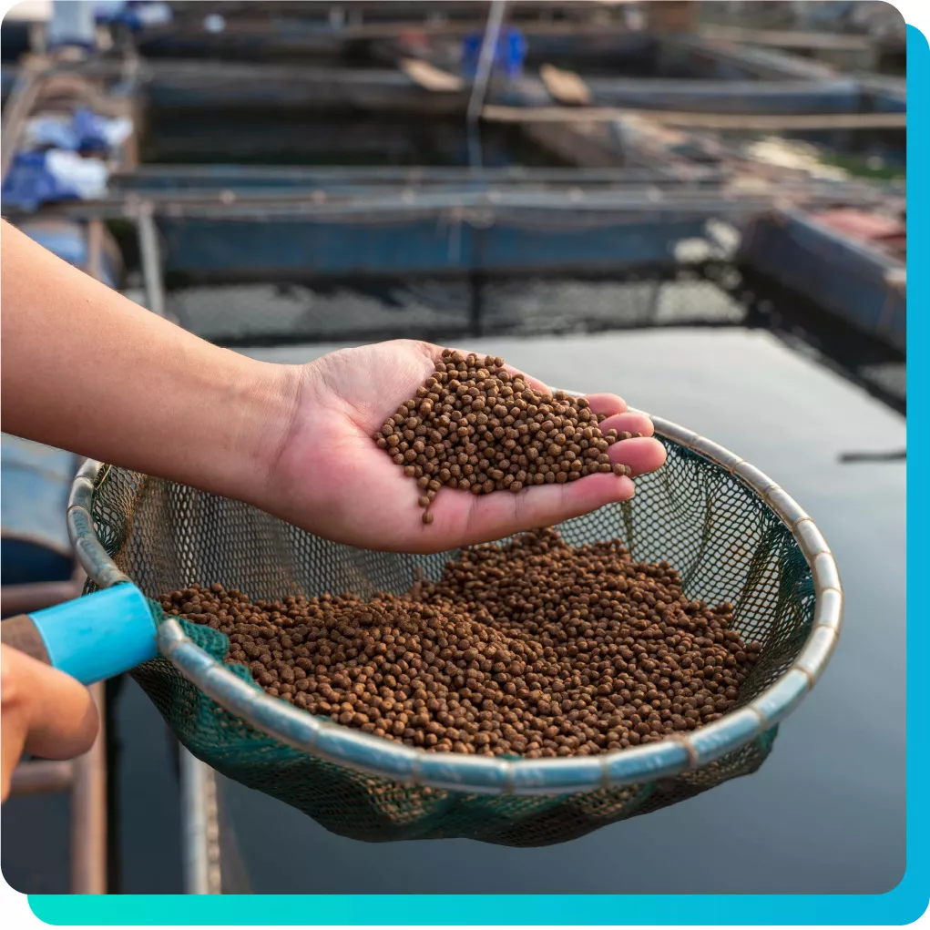 Photo-Animal-Feed@2x-80