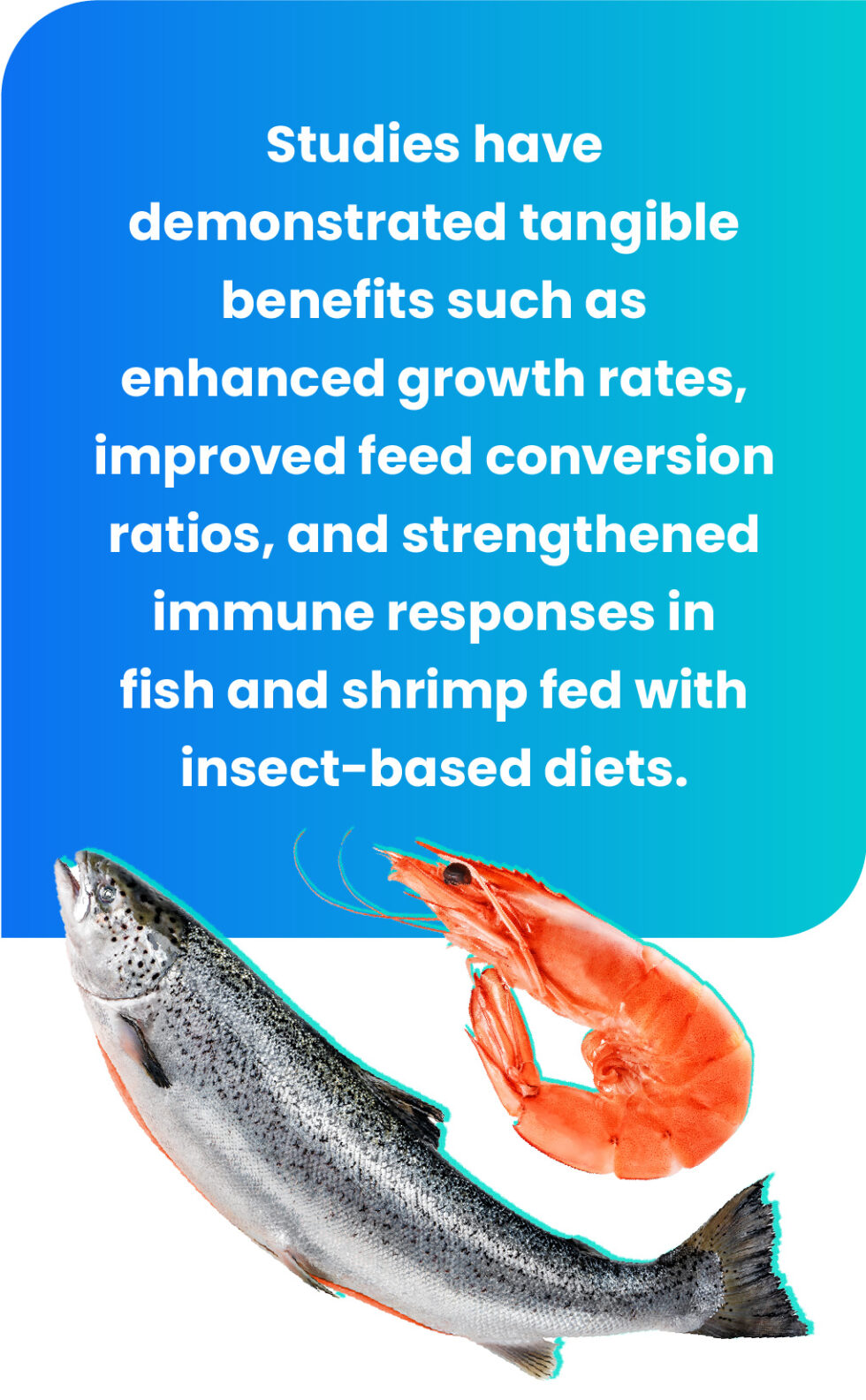 Insect Protein as Feed Ingredient for Sustainable Aquaculture | FreezeM