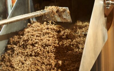 Waste First: Rethinking Feedstock in Black Soldier Fly Farming
