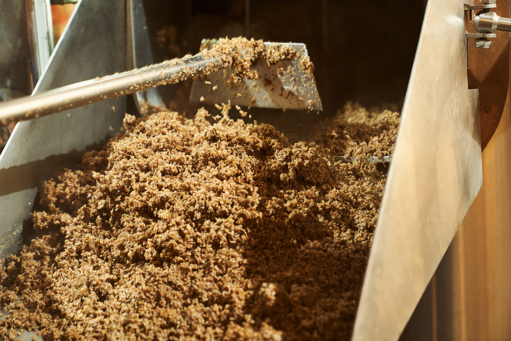Waste First: Rethinking Feedstock in Black Soldier Fly Farming