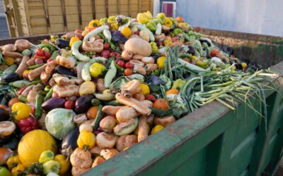 Supermarkets, Waste, and the Untapped Opportunity Beneath Their Feet